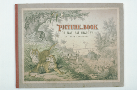 Thumbnail Image