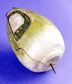 Thumbnail Image