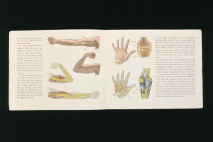 Thumbnail Image