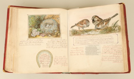 Thumbnail Image
